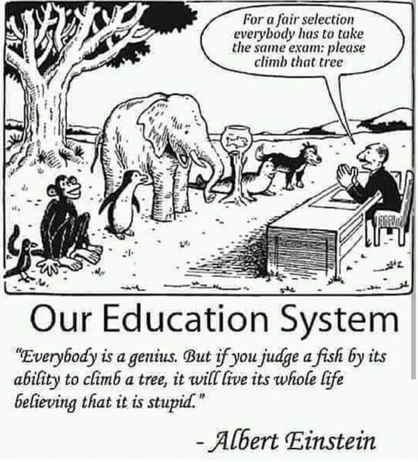our education system
