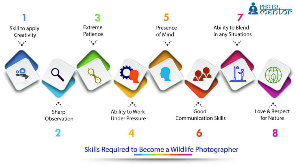 skills required to become a wildlife photographer