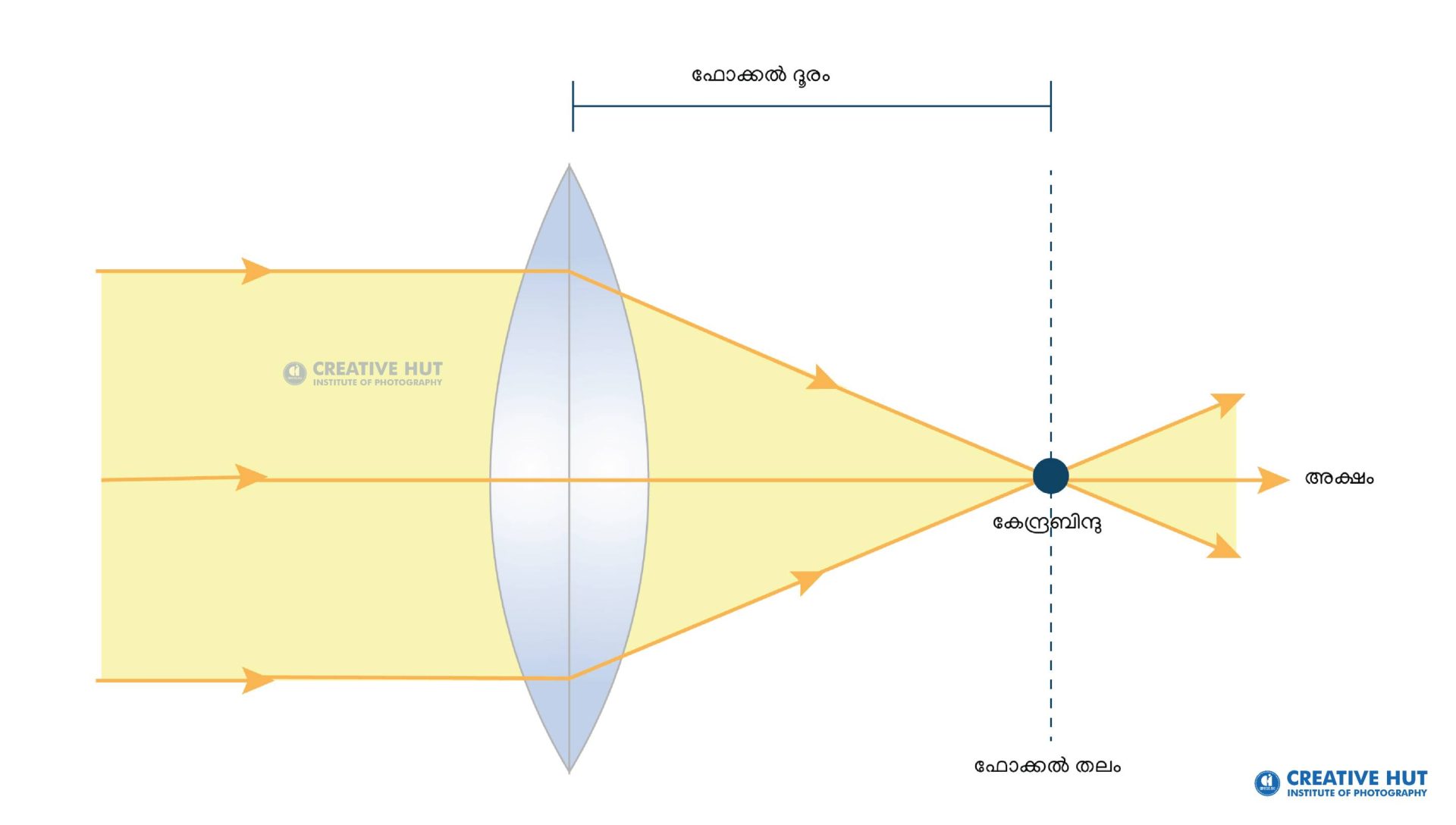 Lens structure and function by Abin Alex