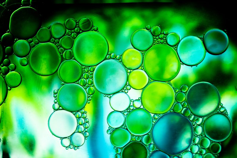 the green cell a view of- oil floting on- water -seems -like a microscopic view sanal thrissur creativehut