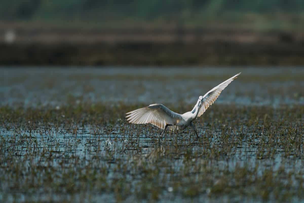 Get Set Rohan Reji Sajan Ernakulam Creative Hut