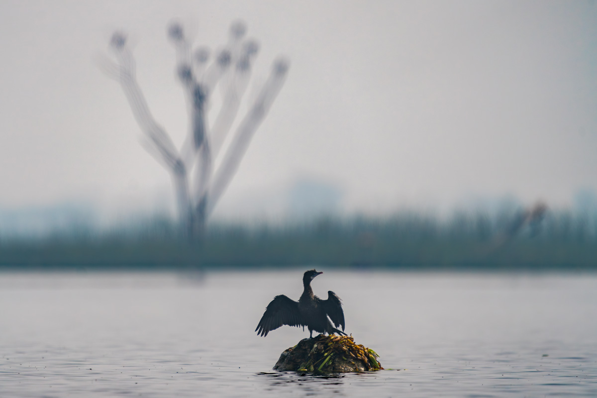 Misty Moment Kavya Ahmedabad Gujarat Creative Hut