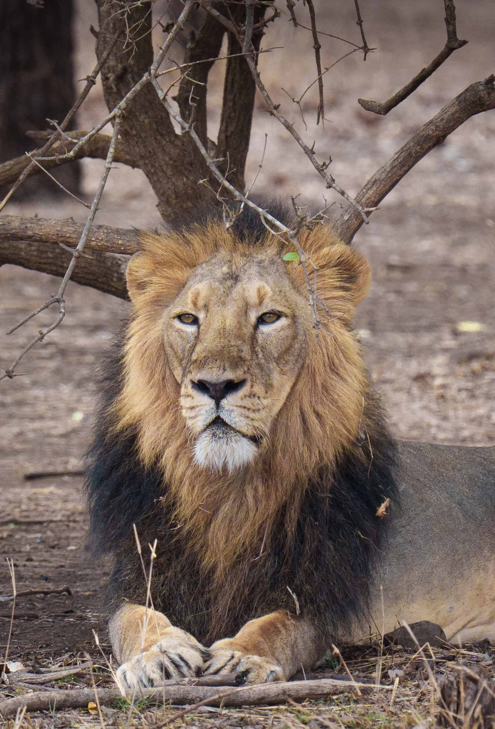 Wildlife photography by Creative Hut Academy students
