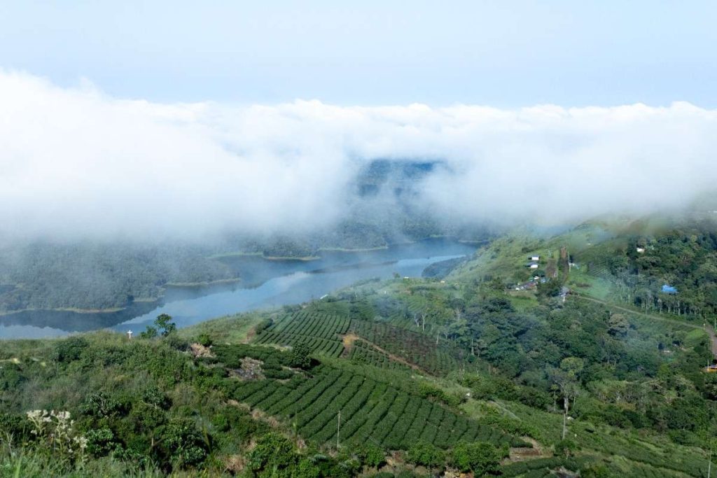 cloudy mist covering the peaks