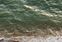 Where Salt Meets Gold